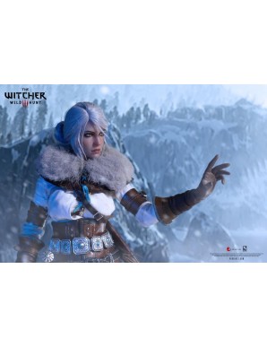 Pure Arts The Witcher 3: Wild Hunt Ciri 1/6 Scale Action Figure