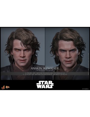 Hot Toys Movie Masterpiece Star Wars Revenge of the Sith Anakin Skywalker 1/6 Scale Collectible Figure