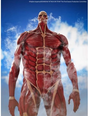 Kaiyodo Mega Sofvi Attack on Titan Colossal Titan