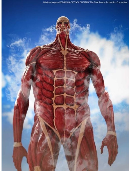 Kaiyodo Mega Sofvi Attack on Titan Colossal Titan