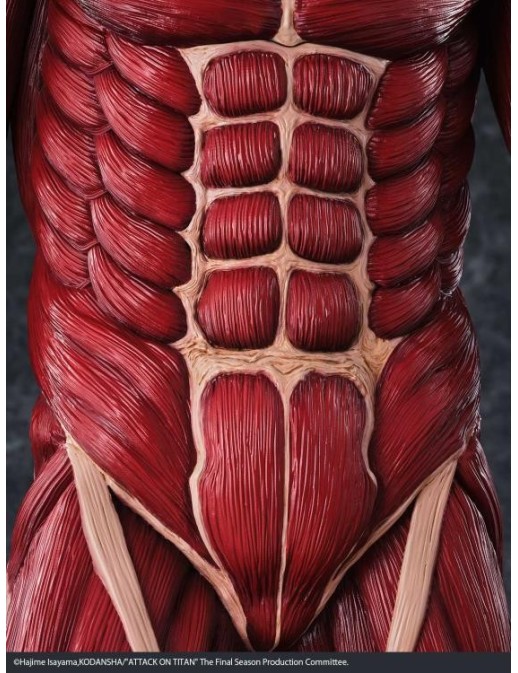 Kaiyodo Mega Sofvi Attack on Titan Colossal Titan