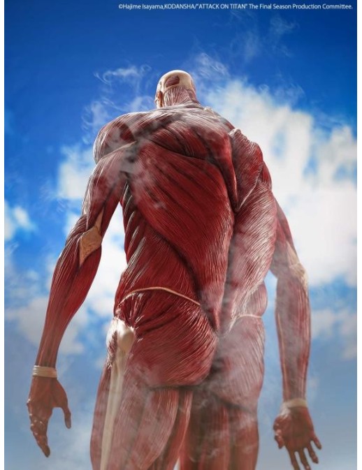 Kaiyodo Mega Sofvi Attack on Titan Colossal Titan