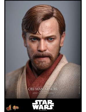Hot Toys Movie Masterpiece Star Wars Revenge of the Sith Obi-Wan Kenobi Mustafar 1/6 Scale Collectible Figure