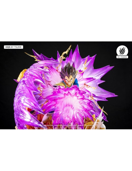 Tsume HQS High Quality Statue Dragon Ball Z Vegeta Galick Gun