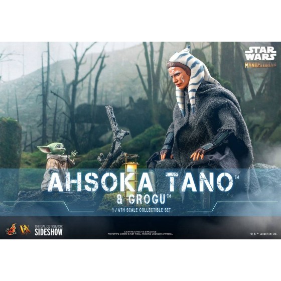 Hot Toys Star Wars The...