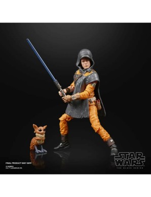 Hasbro Star Wars The Black Series Cal Kestis