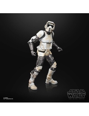 copy of Hasbro Star Wars The Black Series Shoretrooper Carbonized