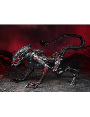 Neca Alien Night Cougar Alien Kenner Tribute