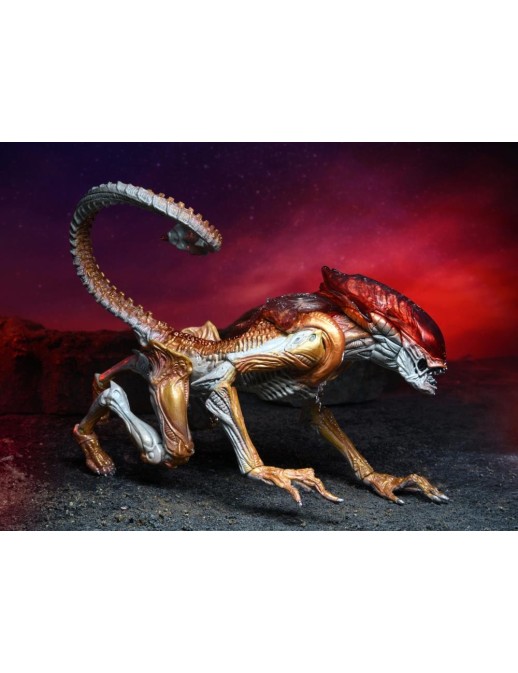 Neca Alien Panther Alien Kenner Tribute
