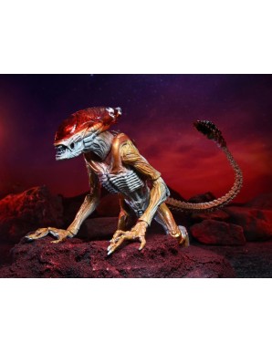 Neca Alien Panther Alien Kenner Tribute