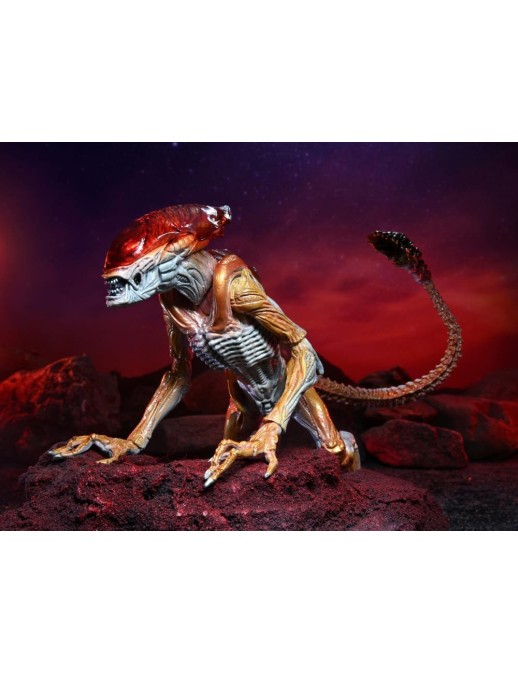 Neca Alien Panther Alien Kenner Tribute