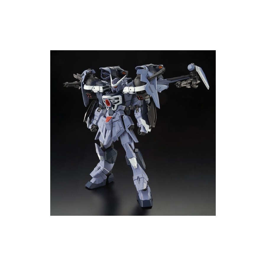 Premium Bandai Complet Mécaniques 1/100 GAT-X130 Aile Calamity Gundam  Maquette