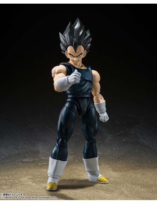 copy of Bandai S.H. Figuarts Dragon Ball Super Super Hero Piccolo