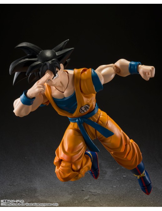 copy of Bandai S.H. Figuarts Dragon Ball Super Super Hero Piccolo