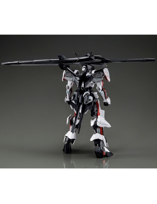 P-Bandai High Grade HG 1/144 Mobile Suit Gundam MHF-01Ω Load Astray Ω