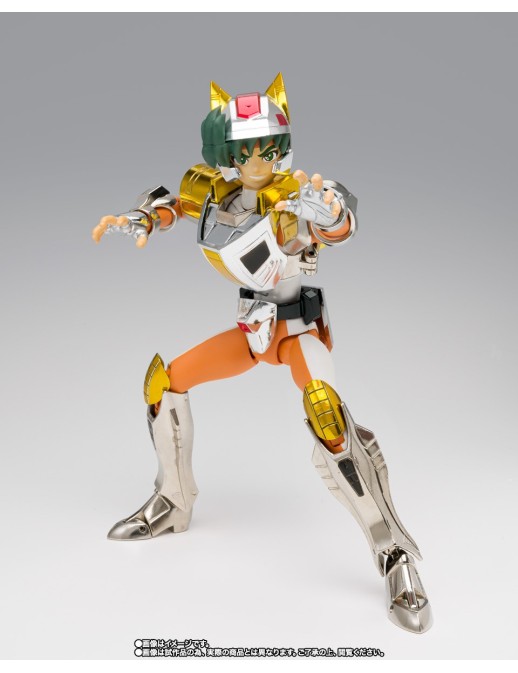 Bandai Saint Seiya Myth Cloth Steel Saint Land Cloth Daichi Revival Version