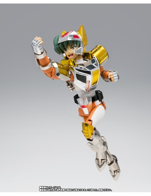 Bandai Saint Seiya Myth Cloth Steel Saint Land Cloth Daichi Revival Version