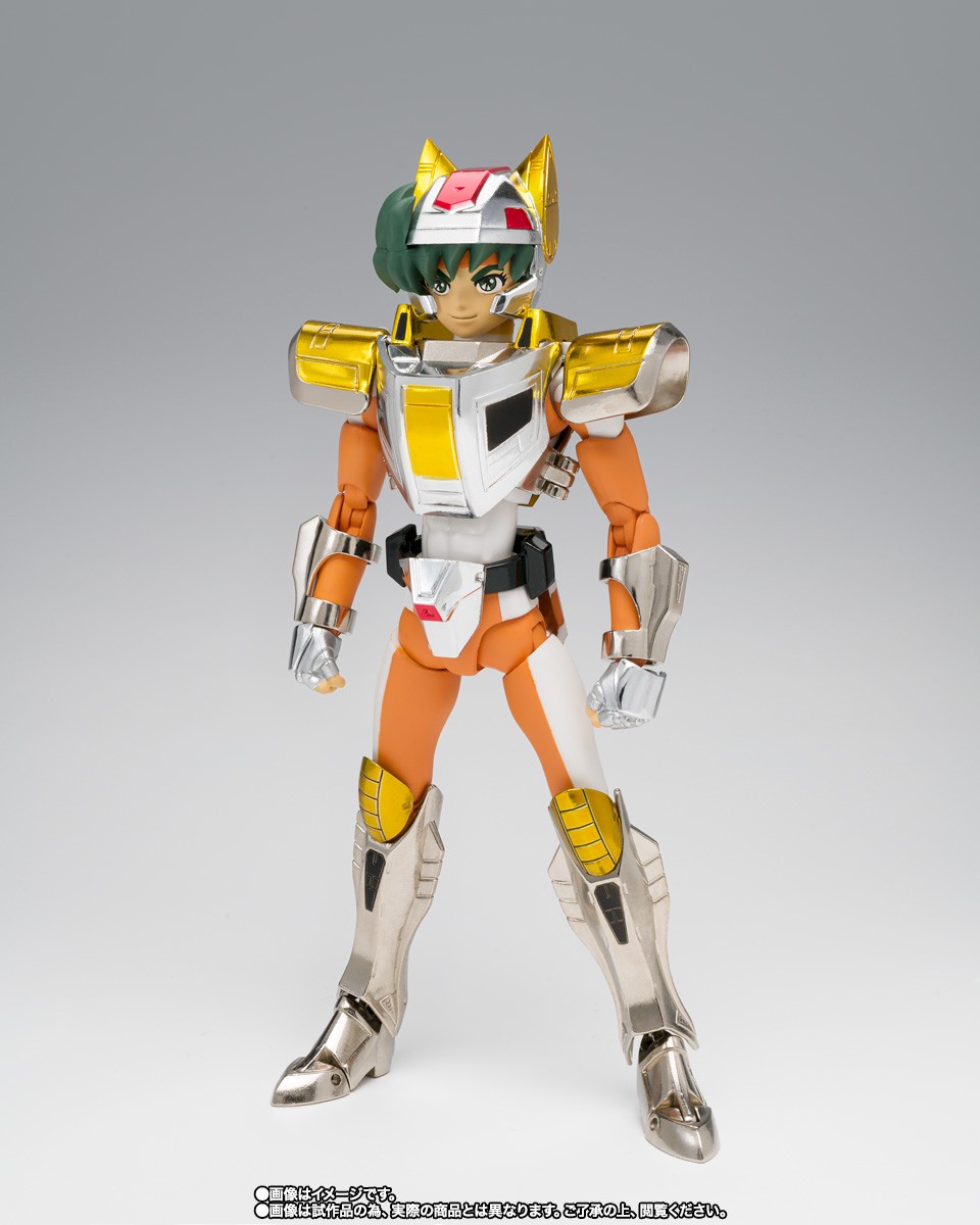 BANDAI SAINT SEIYA MYTH CLOTH STEEL SAINT LAND CLOTH DAICHI REVIVAL VERSION