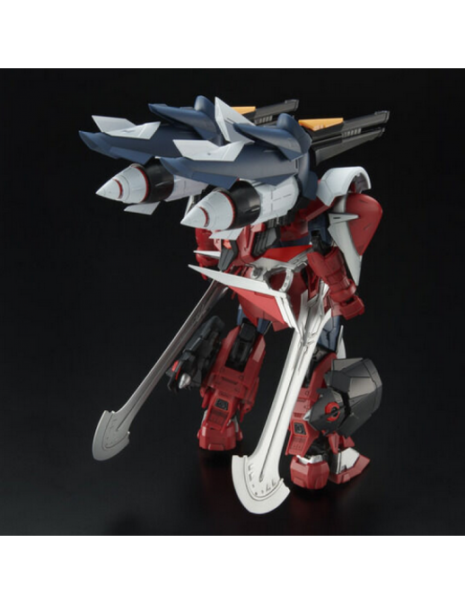 P-Bandai Master Grade MG 1/100 Mobile Suit Gundam ZGMF-1017GR Ginn Gladiator