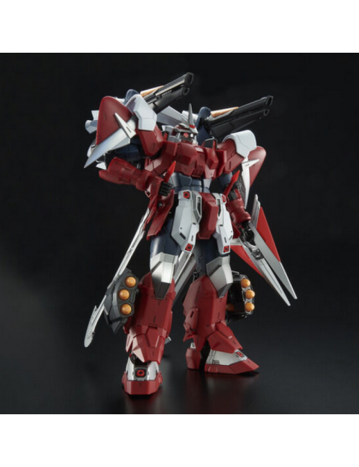 P-Bandai Master Grade MG 1/100 Mobile Suit Gundam ZGMF-1017GR Ginn Gladiator