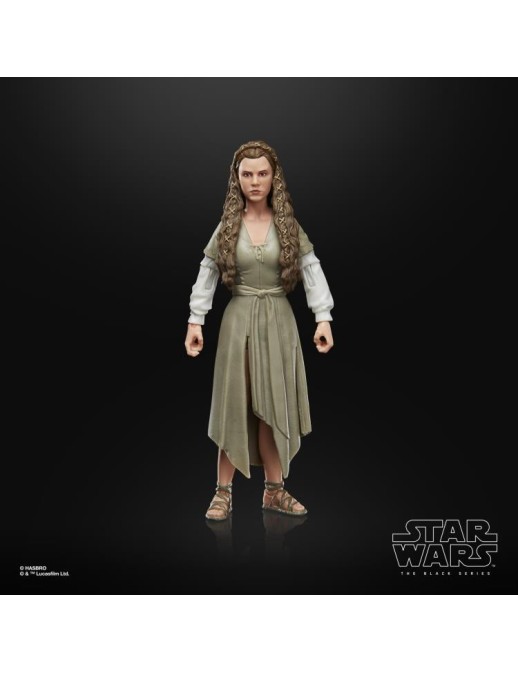 Hasbro Star Wars The Black Series Princess Leia Organa Ewok Village