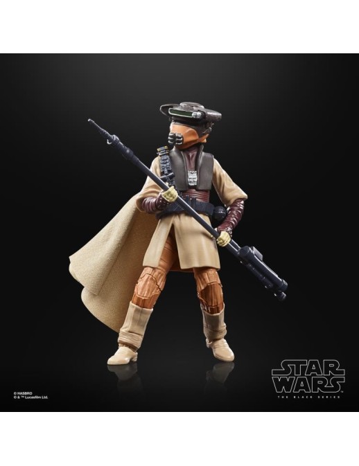 Hasbro Star Wars The Black Series Princess Leia Organa Boushh