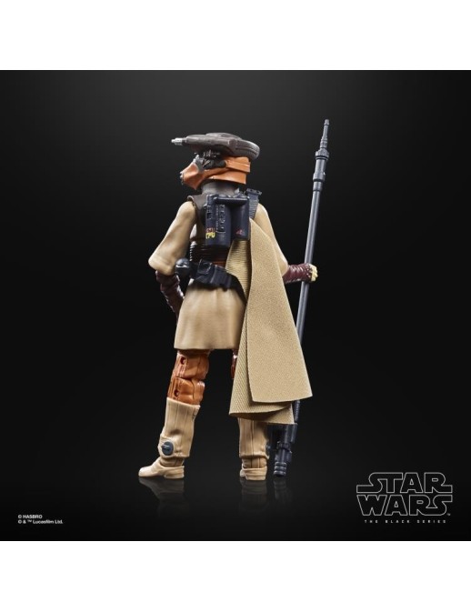 Hasbro Star Wars The Black Series Princess Leia Organa Boushh