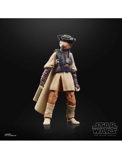 Hasbro Star Wars The Black Series Princess Leia Organa Boushh