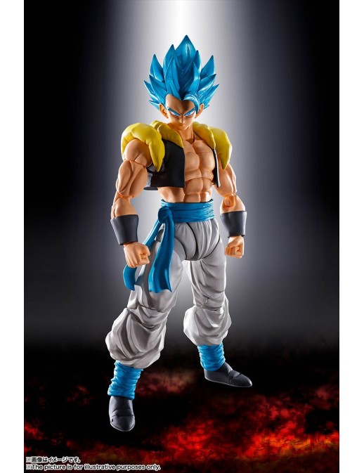 Bandai S.H. Figuarts Dragon Ball Super Broly Gogeta Super Saiyan God Super Saiyan