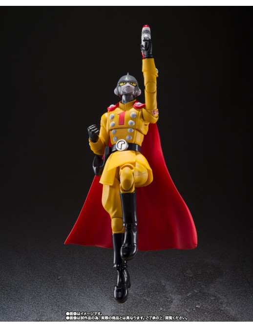 copy of Bandai S.H. Figuarts Dragon Ball Super Super Hero Gamma 2