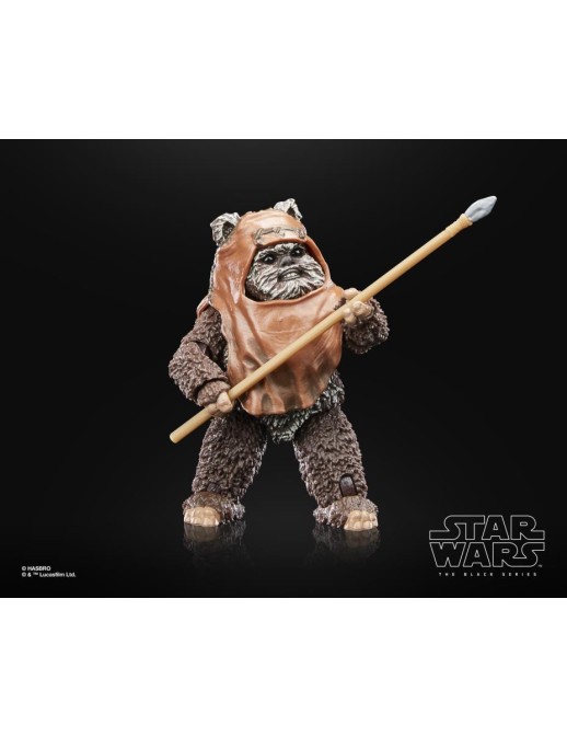 Hasbro Star Wars The Black Series Wicket