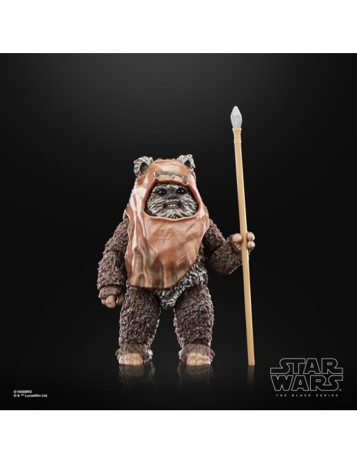 Hasbro Star Wars The Black Series Wicket