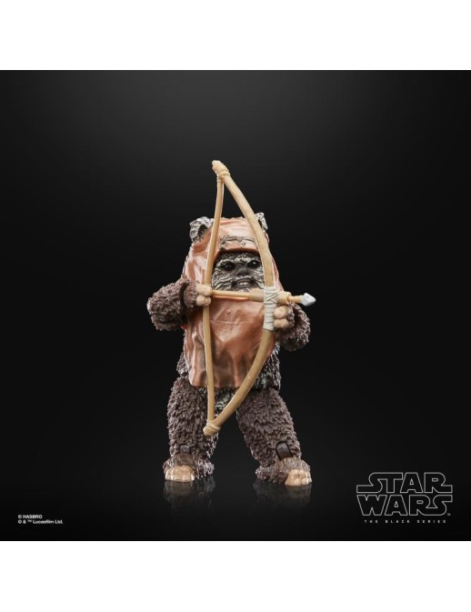 Hasbro Star Wars The Black Series Wicket