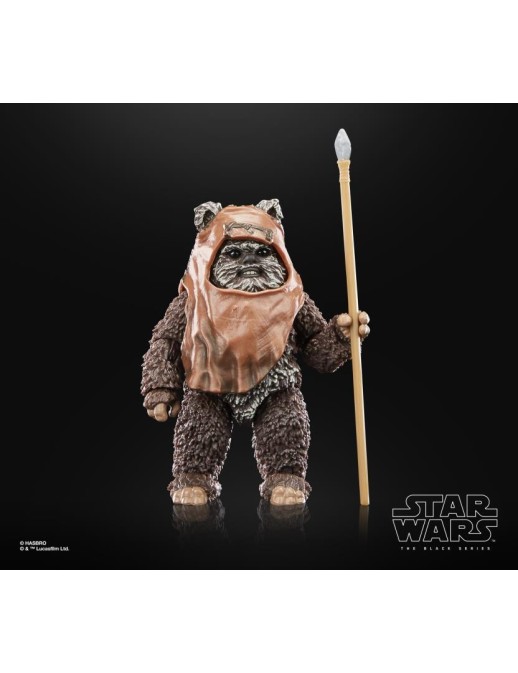 Hasbro Star Wars The Black Series Wicket