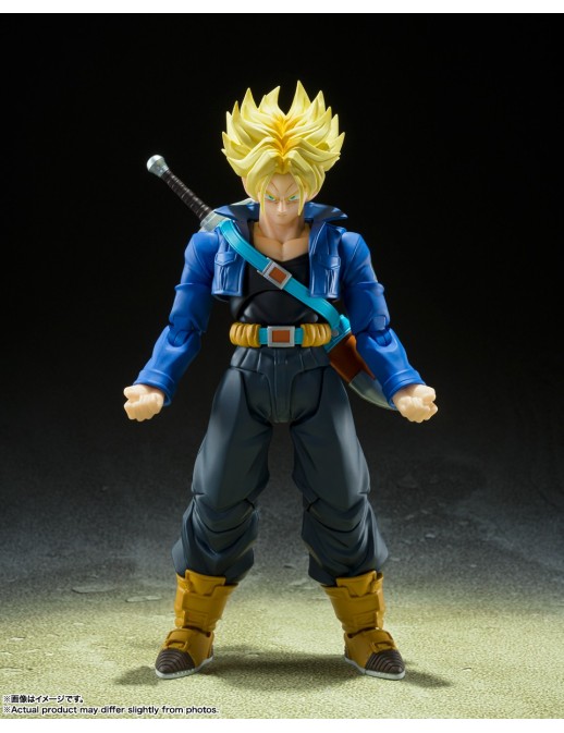 copy of Bandai S.H. Figuarts Dragon Ball Z Vegeta Super Saiyan Blood Awakening