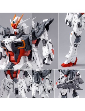 P-Bandai Master Grade MG 1/100 Mobile Suit Gundam Ex Impules