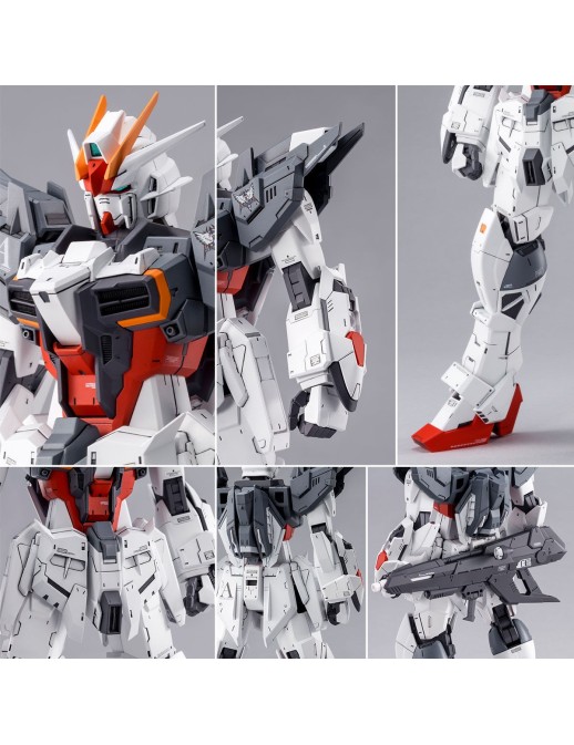 P-Bandai Master Grade MG 1/100 Mobile Suit Gundam Ex Impulse